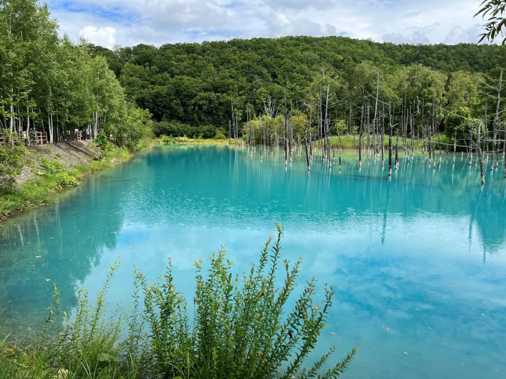 青の池